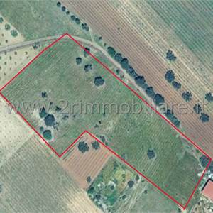 Terreno Agricolo In Vendita a Mazara del Vallo