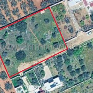 Terreno Agricolo In Vendita a Mazara del Vallo