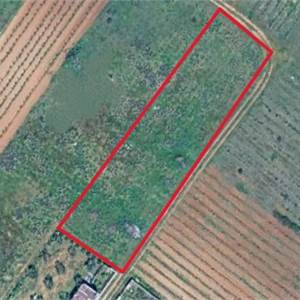 Terreno Agricolo In Vendita a Mazara del Vallo
